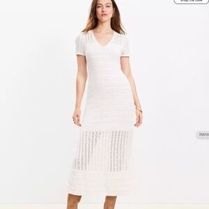 Loft soft cotton sweater dress